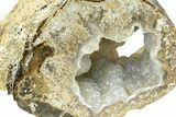 Chalcedony Filled Petrified Wood Limb Cast - Indonesia #271365-1